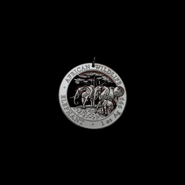 Somalia 100 Schillings Elefant 2013 Silber 999